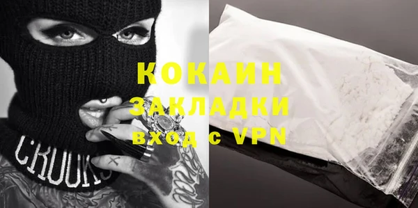 гидра Алексин