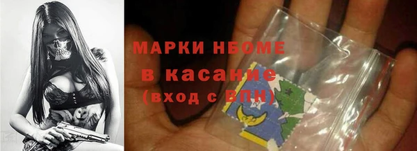 гидра Алексин