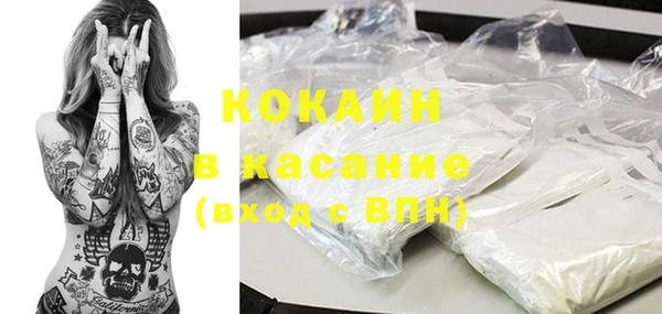 индика Приозерск